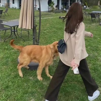 难得有情人